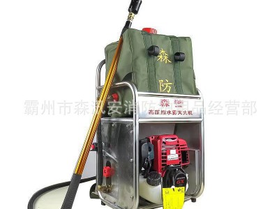 背负式高压细水雾灭火机森林火灾移动式高压水枪消防灭火水枪图4