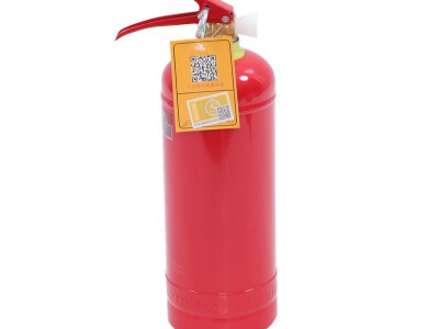 手提式干粉灭火器1kg消防器材车载 家用办公手提式干粉灭火器图5