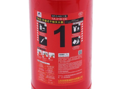 手提式干粉灭火器1kg消防器材车载 家用办公手提式干粉灭火器图4