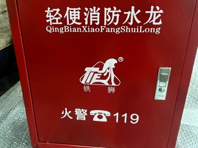 铁狮 厂家 消防箱 消火栓箱 灭火箱 水带箱 工厂