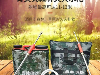 定制单兵灭火水枪 背负式森林灭火水枪往复式森林水枪 背囊式水枪图3