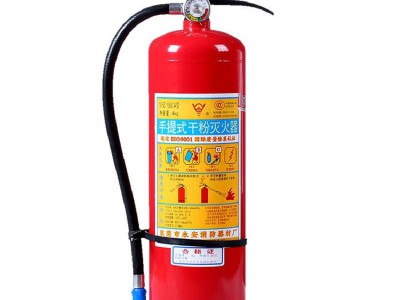 新国标1kg2kg3kg4kg5kg手提式干粉灭火器4kg家用车载消防器材厂家图4