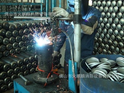 新国标1kg2kg3kg4kg5kg手提式干粉灭火器4kg家用车载消防器材厂家图2