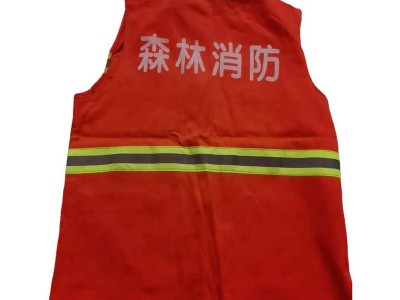 双面防护背心马甲森林防火巡山马甲可印logo阻燃环卫工作发光背心图5
