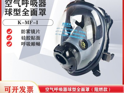 空气呼吸器全面罩 球型全面罩 消防空气呼吸器 正压式呼吸器厂家图2