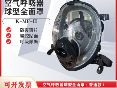 空气呼吸器全面罩 球型全面罩 消防空气呼吸器 正压式呼吸器厂家图4