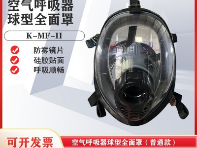 空气呼吸器全面罩 球型全面罩 消防空气呼吸器 正压式呼吸器厂家图3