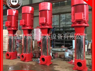 XBD多级消防泵 立式多级消火栓泵 消防稳压泵 消防增压泵图2
