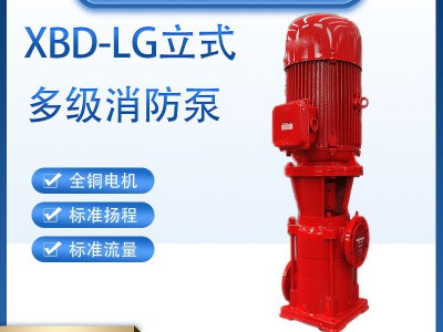 XBD-LG便拆立式多级消防泵 室外消火栓泵喷淋泵水泵150LG180- 型图2