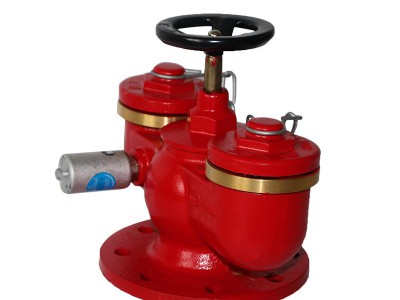 SQD100/150-1.6A多用式消防水泵地上式接合器高层建筑专业消防设图2