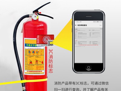 金华国标4KG手提式灭火器批发干粉灭火器消防器材车用家用灭火器图4