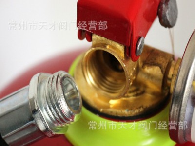 淮海干粉手提式灭火器 车载灭火器 磷酸铵干粉 ABC干粉灭火器图4