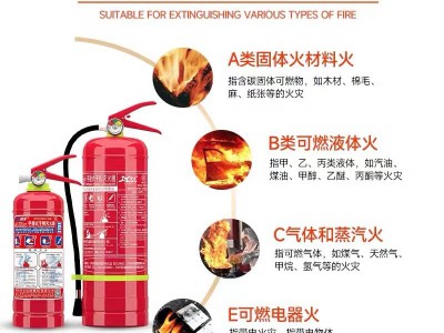 国标灭火器4kg批发消防器材工程工厂3kg5公斤8kg手提式干粉灭火器图2
