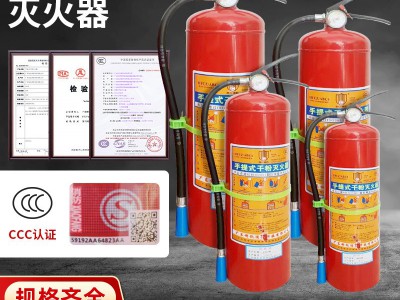 手提式灭火器4kg干粉灭火器家用商用酒店 二氧化碳灭火器消防器材图2