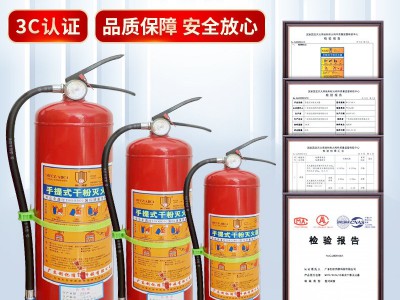 手提式灭火器4kg干粉灭火器家用商用酒店 二氧化碳灭火器消防器材