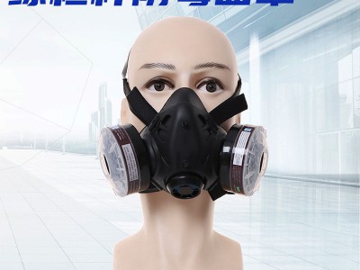 工业粉尘喷漆呼吸防护器全脸面具9578型双盒自吸过滤式防毒面具图3