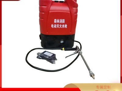 电动灭火水枪 灭火高压往复式水枪森林消防救援灭火水枪背负式图5