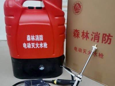 电动灭火水枪 灭火高压往复式水枪森林消防救援灭火水枪背负式图3