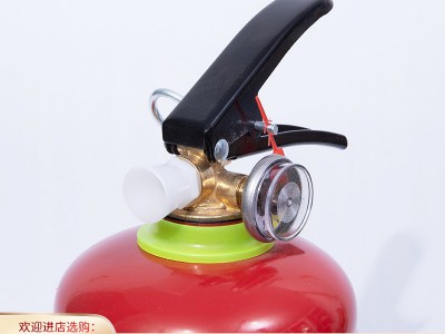 手提式干粉灭火器 车载灭火器 家用工厂商场用便携式灭火器多规格图2