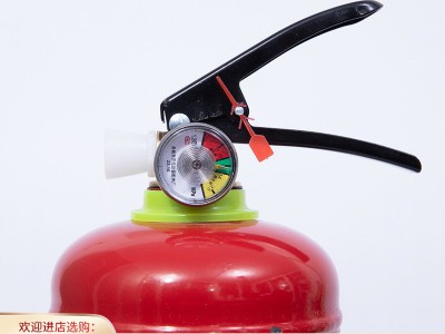 手提式干粉灭火器 车载灭火器 家用工厂商场用便携式灭火器多规格图3
