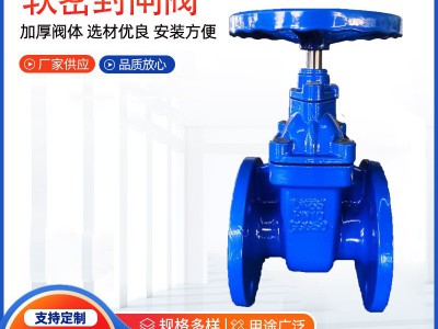 国标软密封闸阀明杆暗杆法兰闸阀 Z45X 球磨铸铁弹性座封法兰闸阀