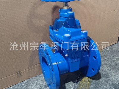 国标软密封闸阀明杆暗杆法兰闸阀 Z45X 球磨铸铁弹性座封法兰闸阀图2