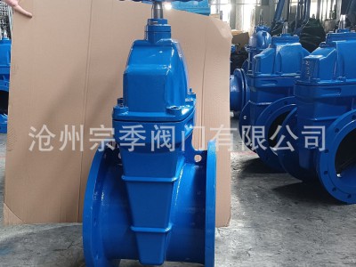 国标软密封闸阀明杆暗杆法兰闸阀 Z45X 球磨铸铁弹性座封法兰闸阀图3