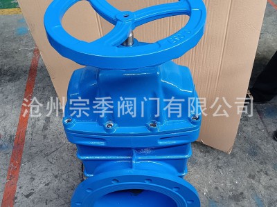 国标软密封闸阀明杆暗杆法兰闸阀 Z45X 球磨铸铁弹性座封法兰闸阀图5
