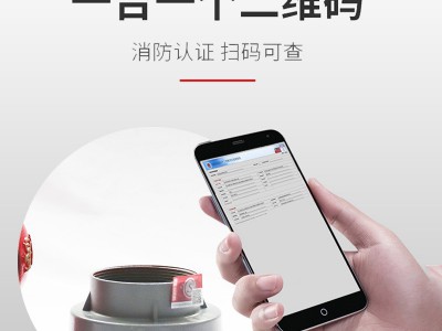 消防栓 室内消火栓SN65 SNW65-1稳压 SNZ65可旋转SNZW65-1稳压旋图5