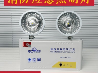 厂家直销应急灯双头LED灯火灾停电照明专用应急灯逃生消防专用家图3