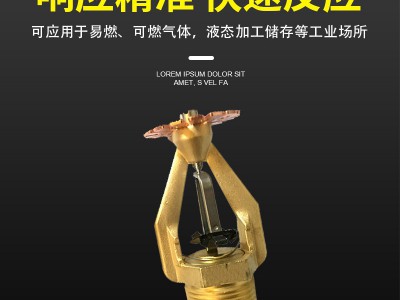 早期抑制快速响应喷头ESFR大流量消防喷头上下喷特殊应用洒水喷头