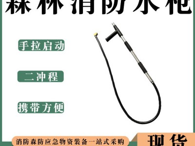 往复式电动水枪枪头高压灭火水枪多功能消防救援水枪充电式灭火器