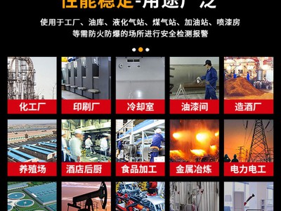 安仕得有毒有害气体探测器防爆餐业商用一氧化碳氨氢氧气固定式图2