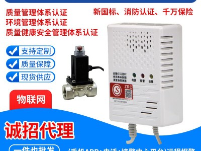 家用可燃气体探测器消液化气天然气煤气泄漏自动切断商用警报器图3