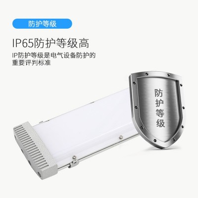 LED防爆应急灯20W40W60W防爆洁净荧光灯药厂车间仓库 防爆荧光灯