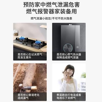 220V独立电磁阀燃气报警器家用/后厨液化气体瓦斯感应器探头气感图2