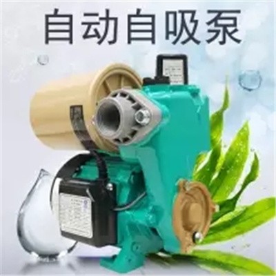 电动铸铁抽水泵PW-176EAH全自动自吸清水泵图4
