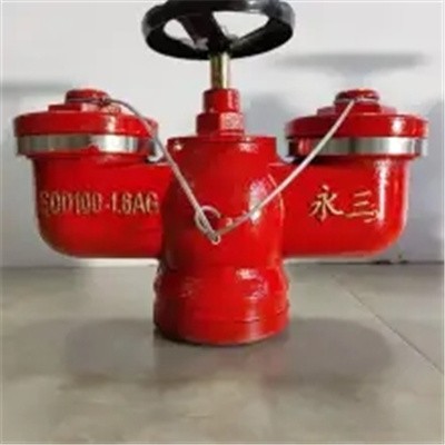地下式沟槽连接式消防水泵接合器　SQD100-1.6AG图5