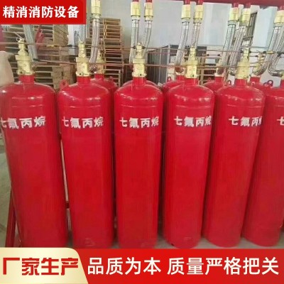 管网七氟丙烷灭火系统 气体灭火装置有管网气体自动灭火设备 厂家图4