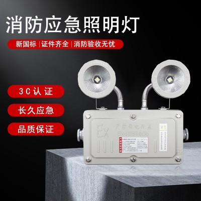 A型防爆消防应急照明灯具集中电源集中控制压铸铝外壳IP65双头灯图3