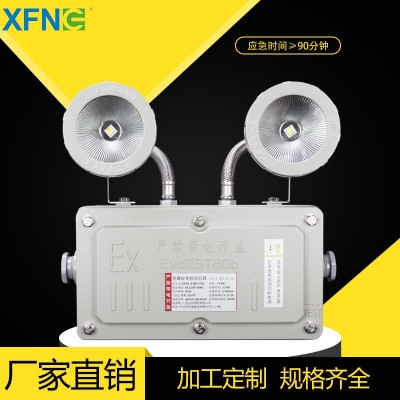 A型防爆消防应急照明灯具集中电源集中控制压铸铝外壳IP65双头灯图4