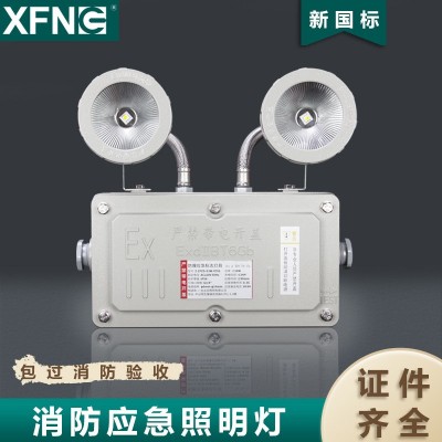 A型防爆消防应急照明灯具集中电源集中控制压铸铝外壳IP65双头灯图2