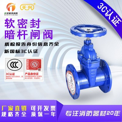 球墨铸铁暗杆弹性软密封法兰闸阀Z45X-16QDN80消防阀门DN60D N100图3