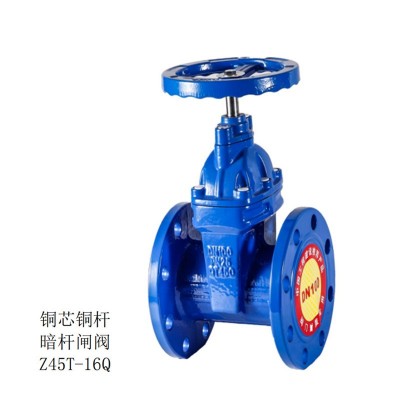 球墨铸铁暗杆弹性软密封法兰闸阀Z45X-16QDN80消防阀门DN60D N100图4