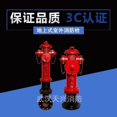 天兴消防国标室外SS100/65-1.6室外消火栓防撞地上栓厂家灭火剂图4