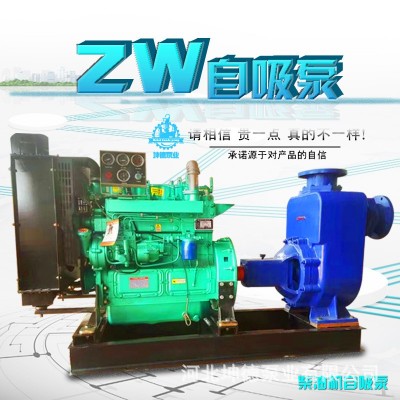 三相自吸泵 直连式沼气抽粪污水泵 家用无堵塞输送泵排污泵图3