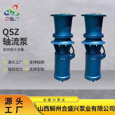 厂家定制贴牌 QSZ/QSH轴流泵混流泵潜水店铺暴雨排涝排水泵批发图2