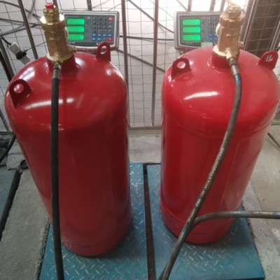 单瓶七氟丙烷气体灭火装置厂家配电室机房档案室气体自动灭火装置图3