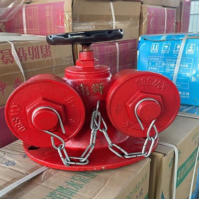 消防水泵接合器水泵接合器球墨铸铁地上地下式多功能水泵结合器图3