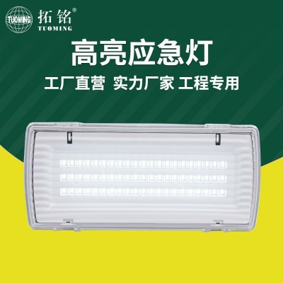 跨境热销62pcsLED3-8W小尺寸壁挂嵌入式应急灯IP65防水应急照明灯